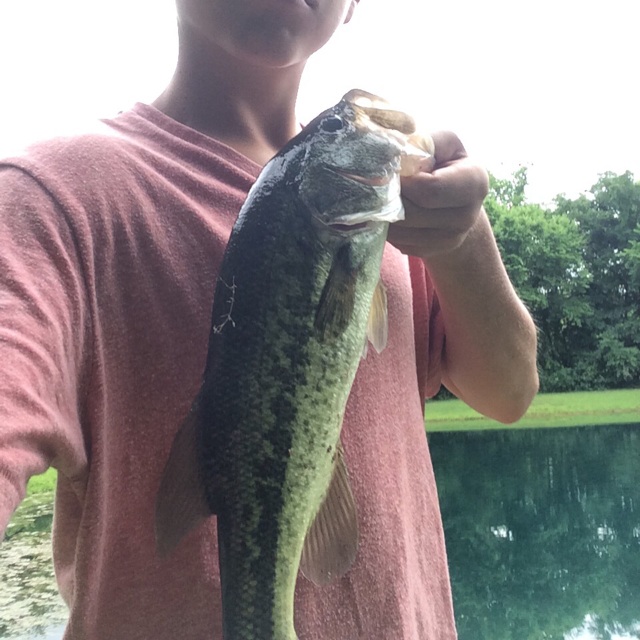 17.0