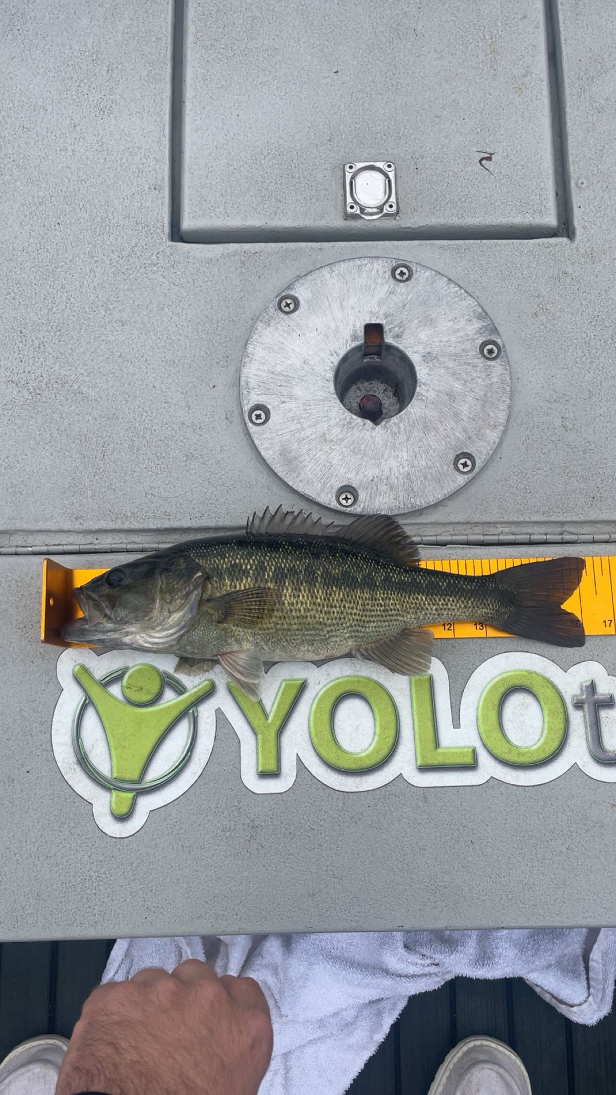16.0
