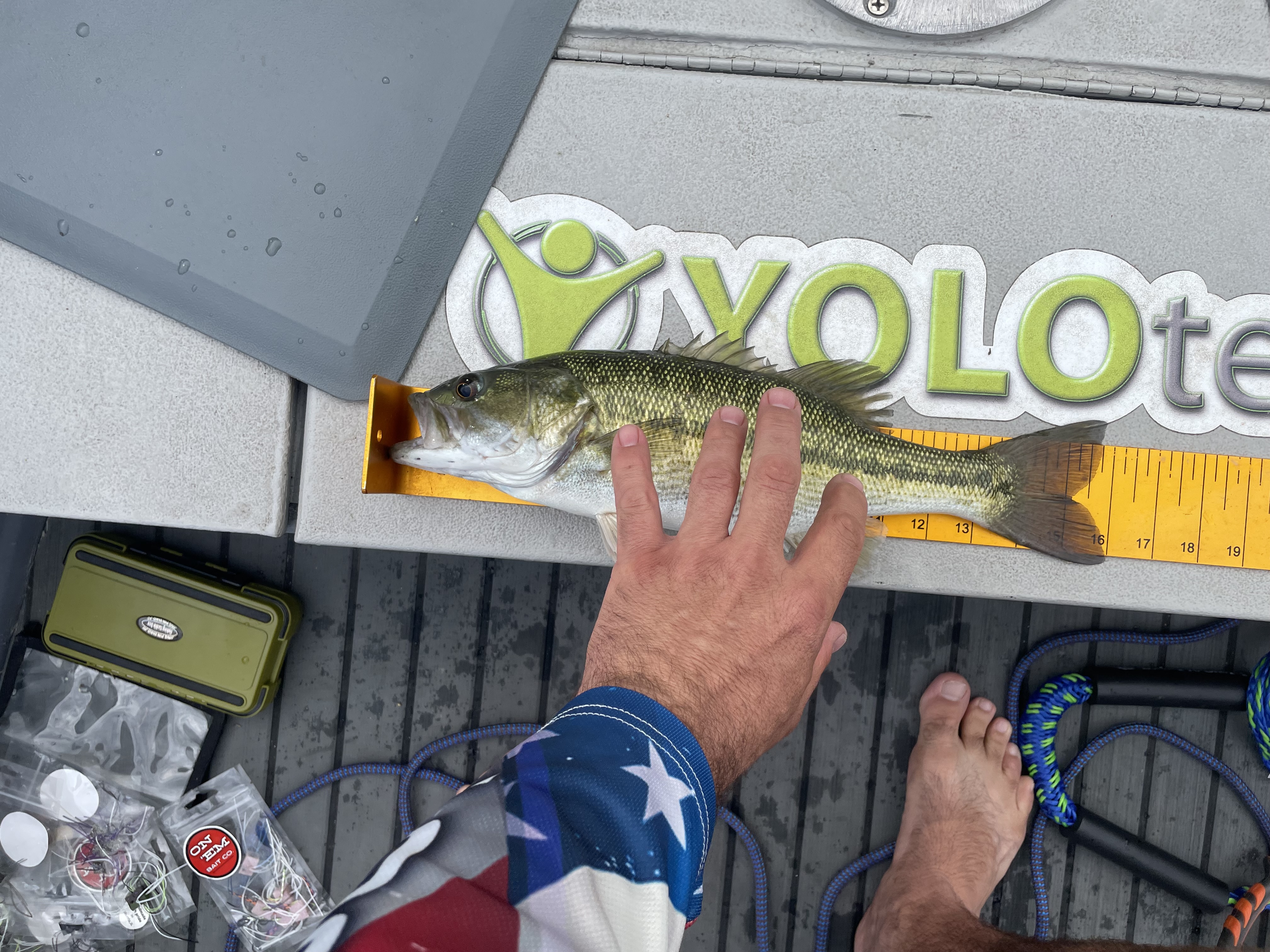 16.0