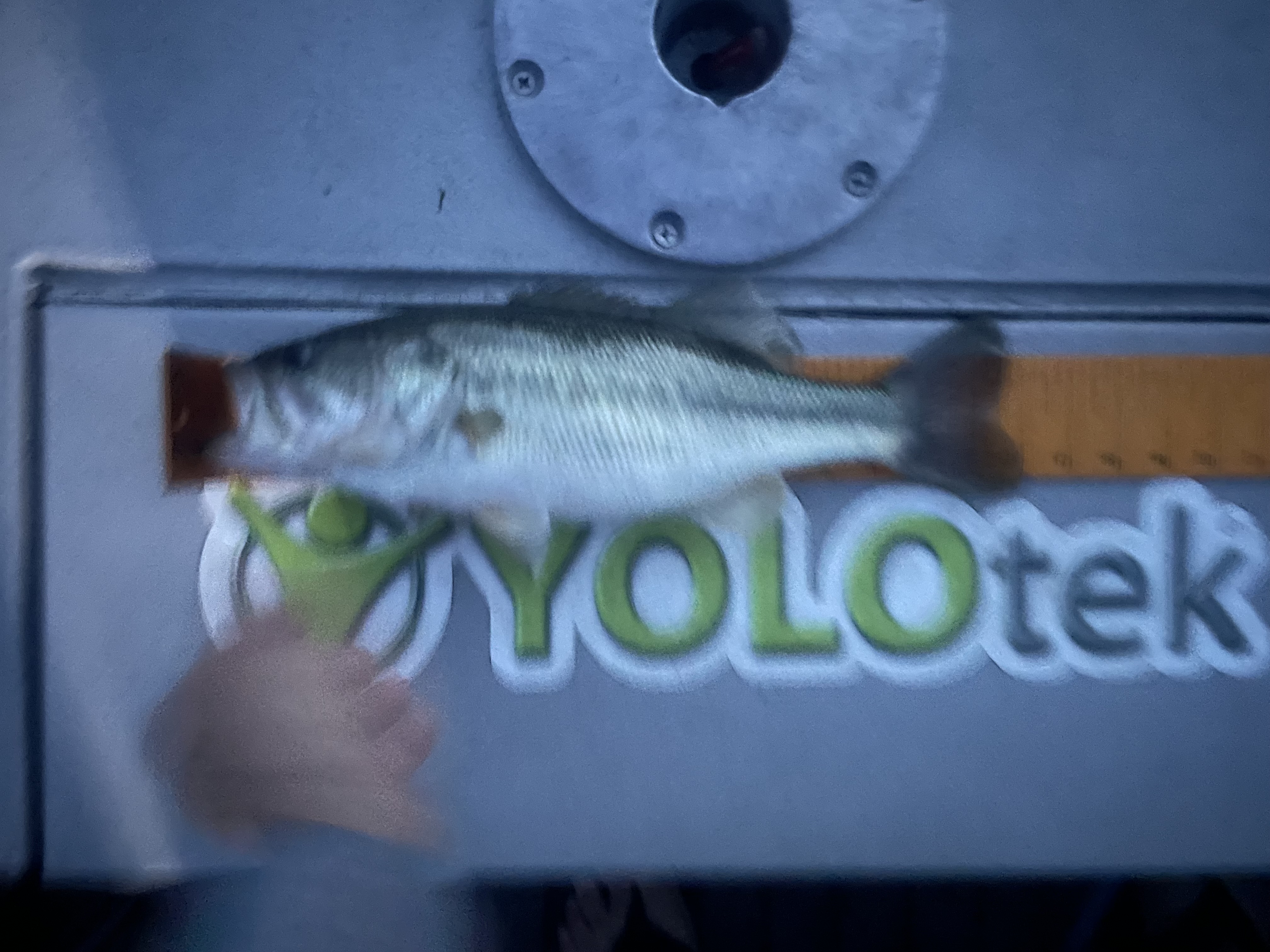 14.0