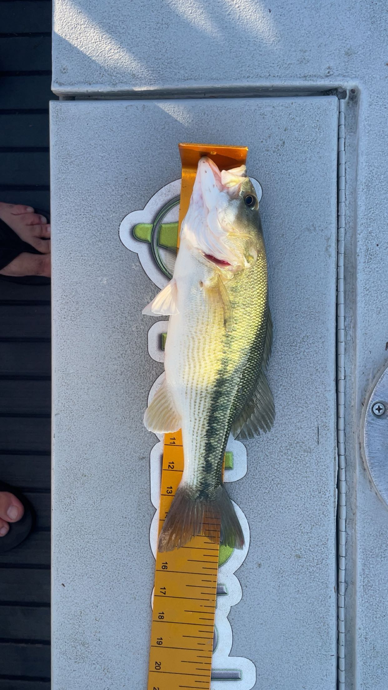 15.3