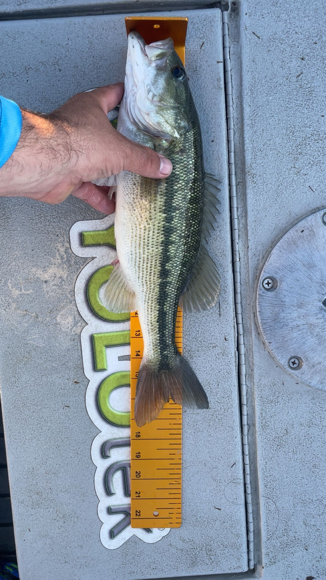 17.3