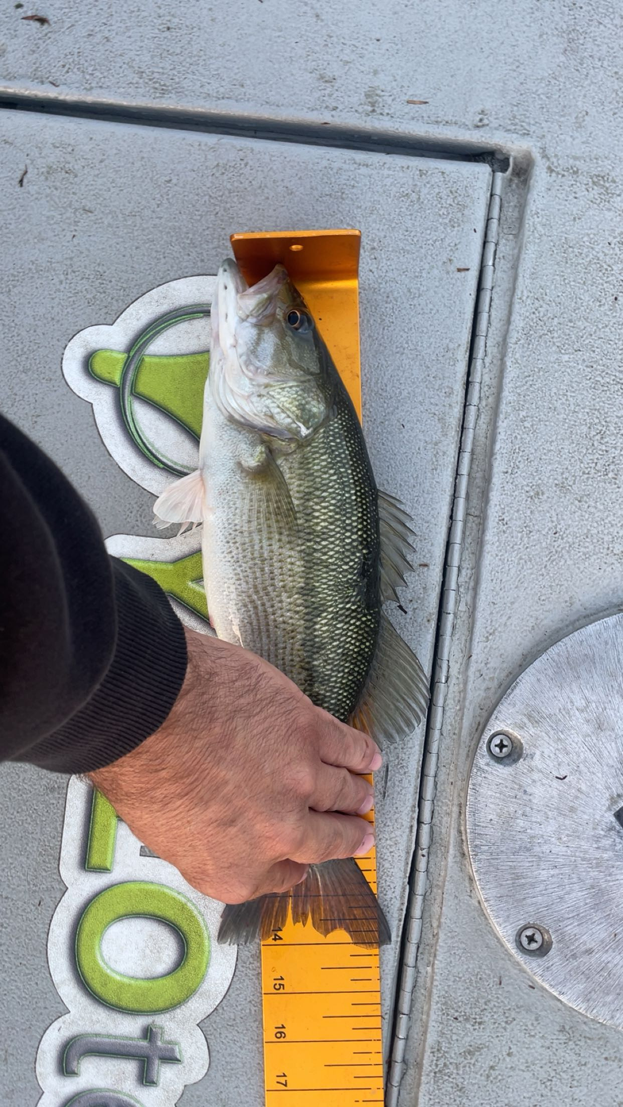 14.0