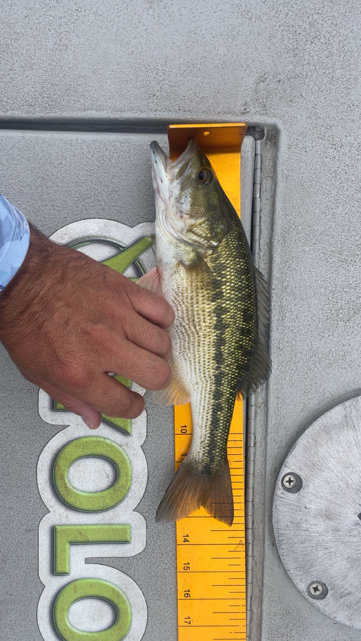 13.5