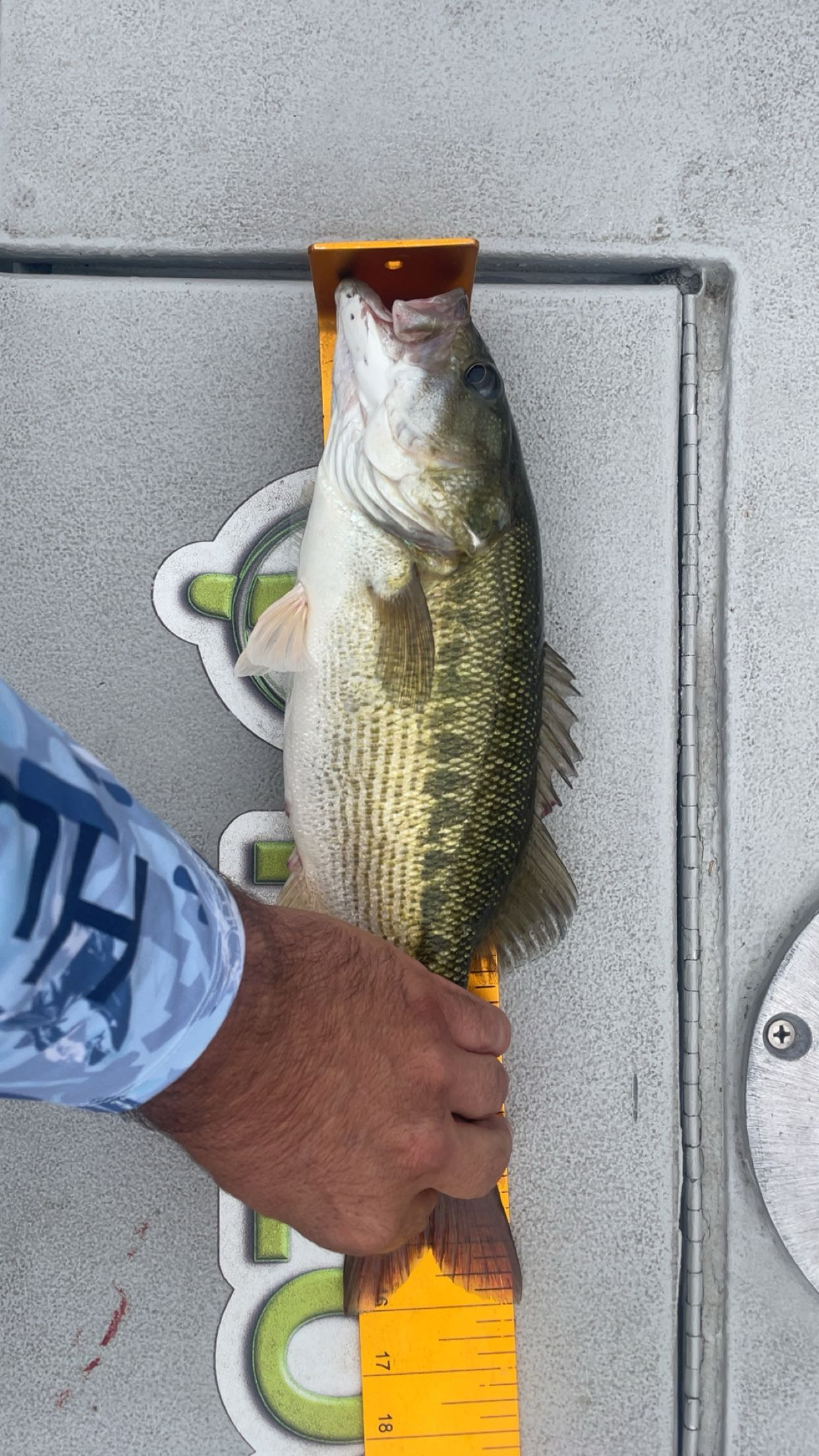 16.0
