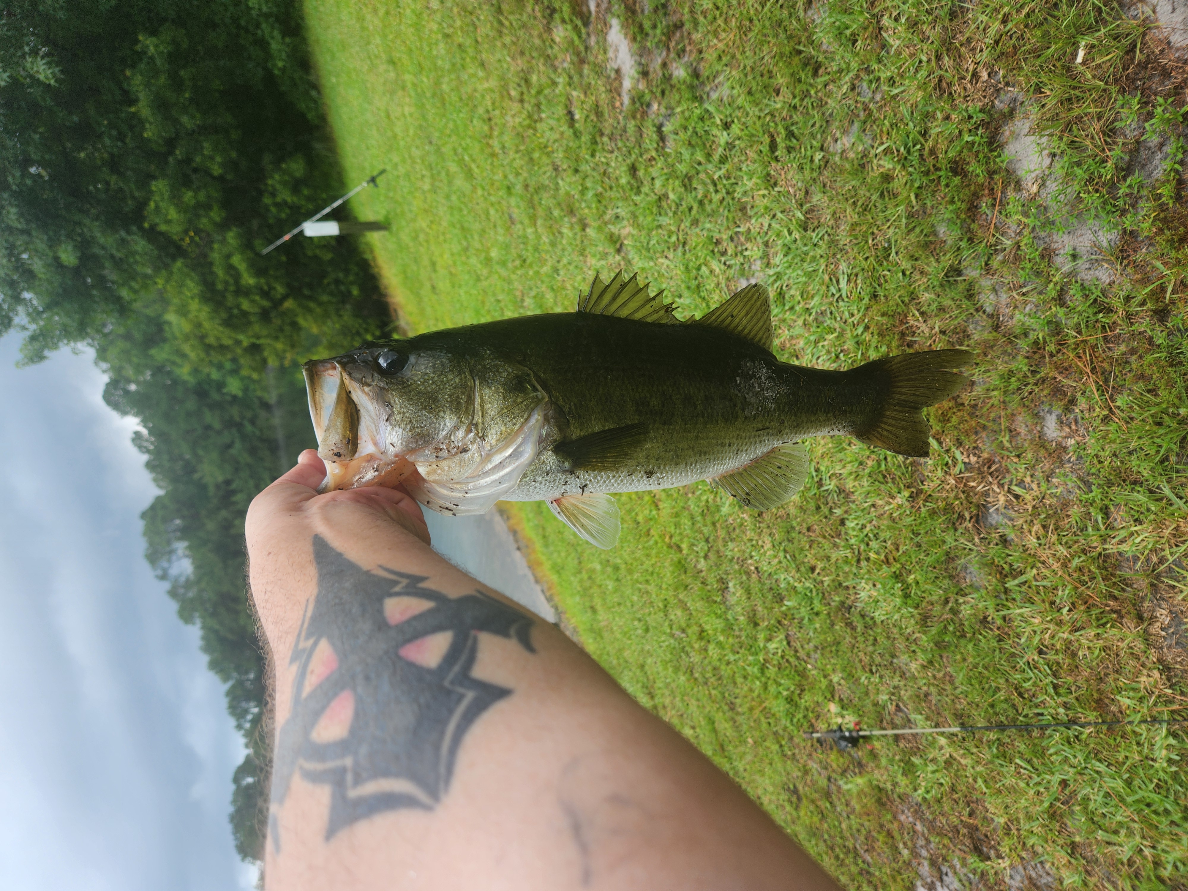 15.8