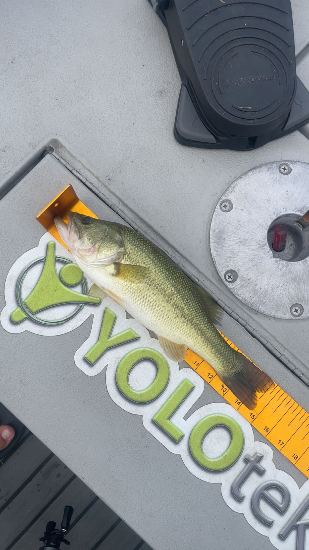 14.5